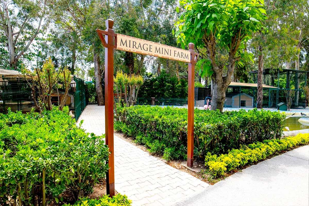 mirage park resort